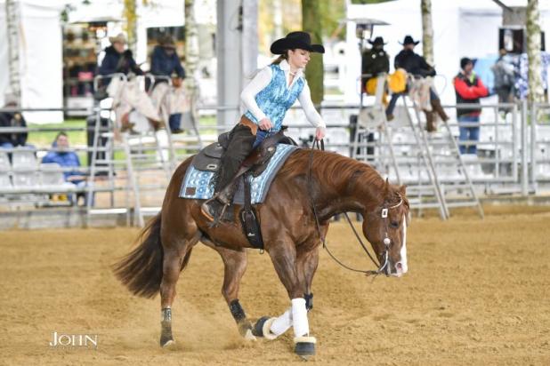 stage équitation western