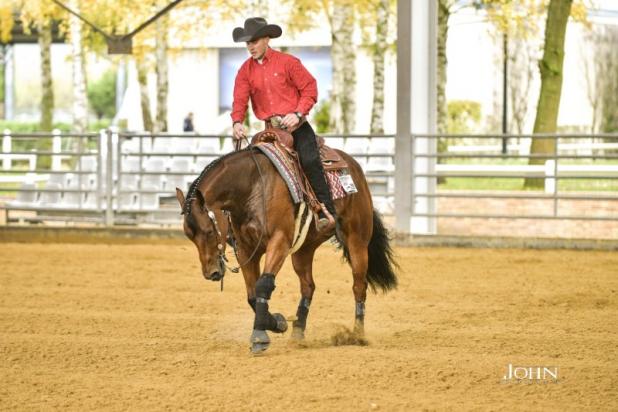 cours équitation