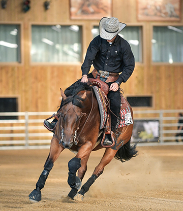 cours équitation